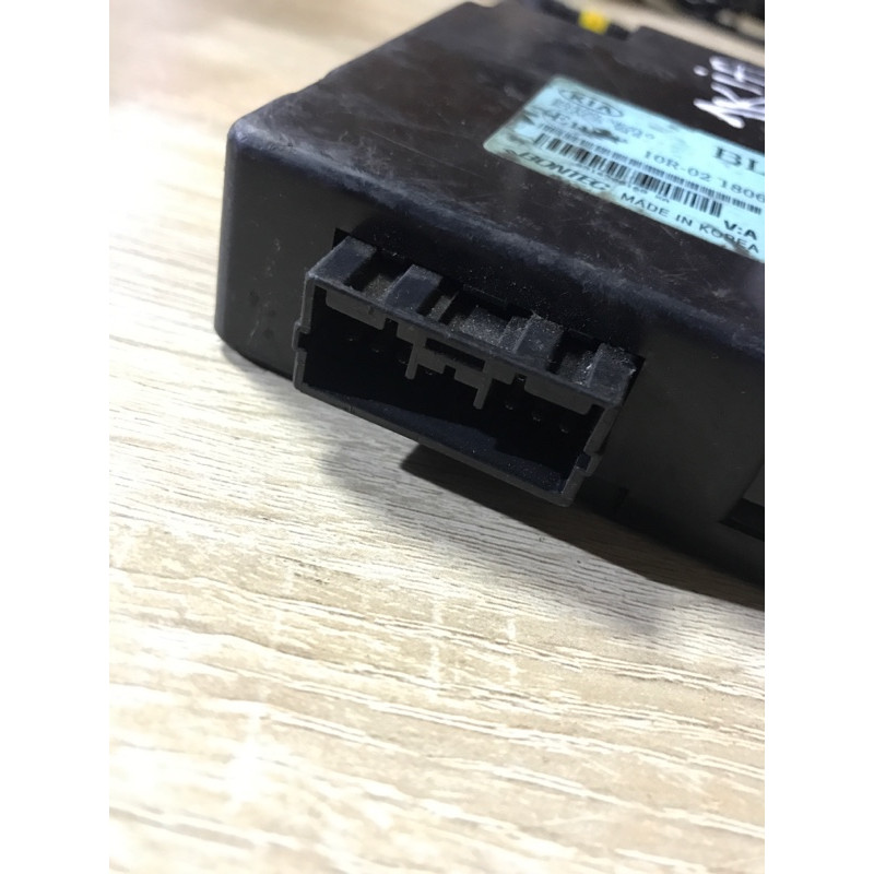 Блок управления светом (электрика / блок управления) KIA Sorento BL 2005 2.5 CRDI 954003E310