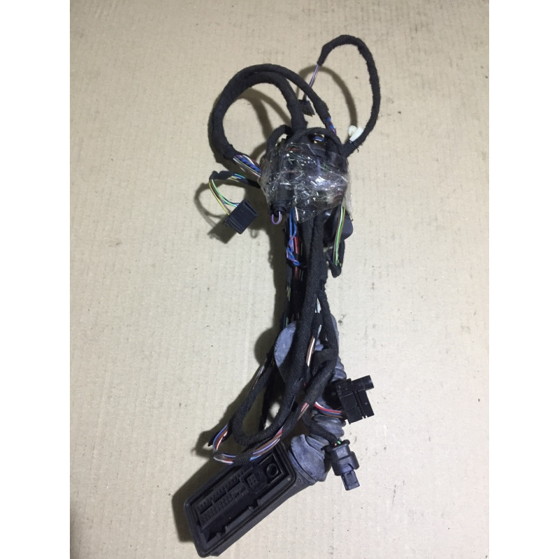 Проводка дверна (електрика) BMW 3-series F30 61 12 9 300 389