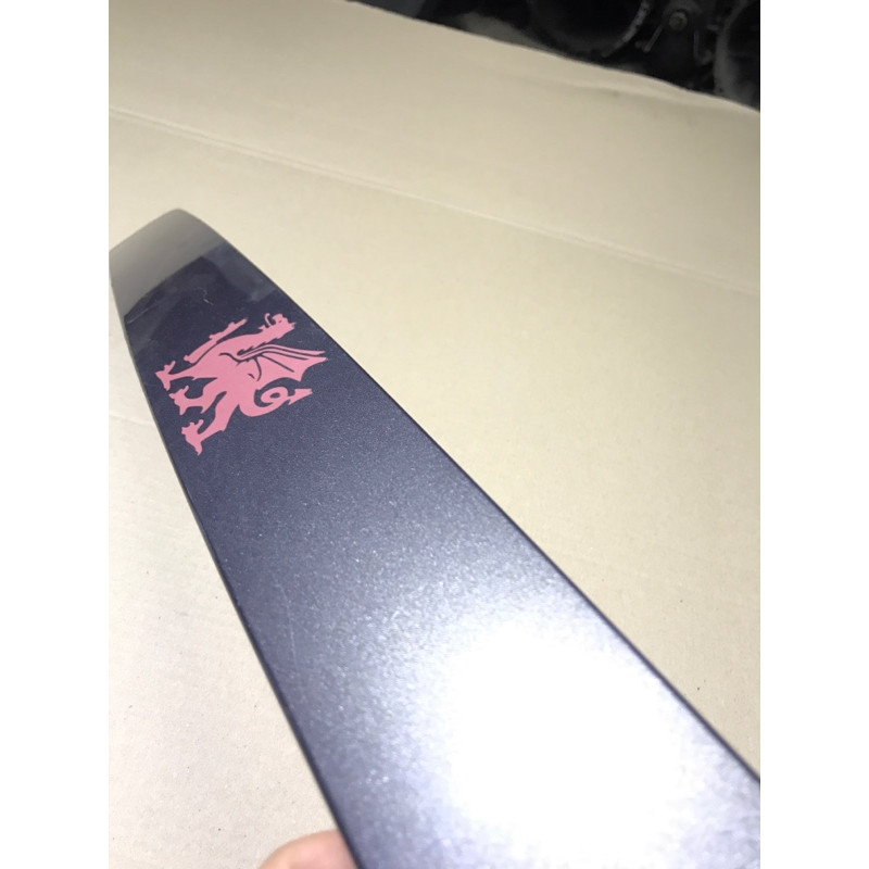 Панель подсветки номера (кузов и элементы) Mazda 6 GG 2007 2.0 RF7J G21C50811