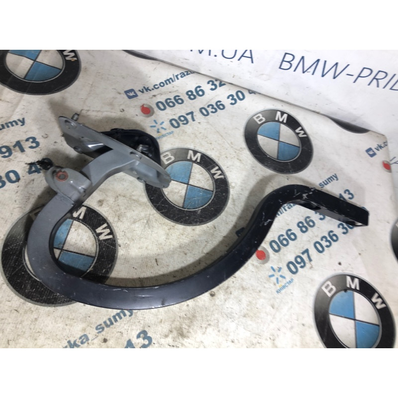 Петля багажника (кузов и элементы) BMW 3-series F30 2013 N26B20 41007420783