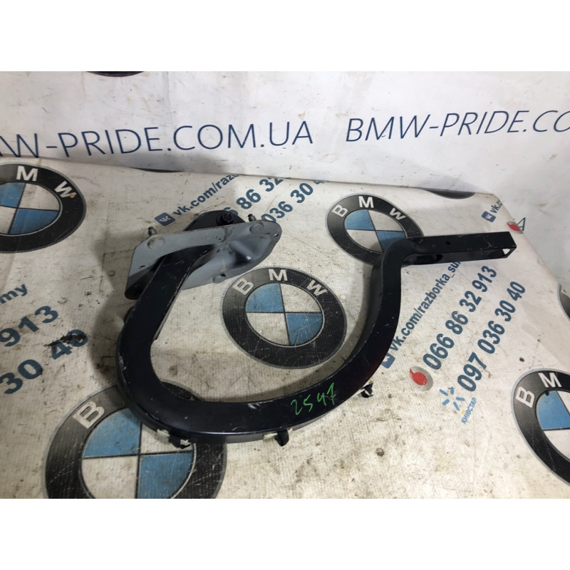 Петля багажника (кузов и элементы) BMW 3-series F30 2013 N26B20 41007420784
