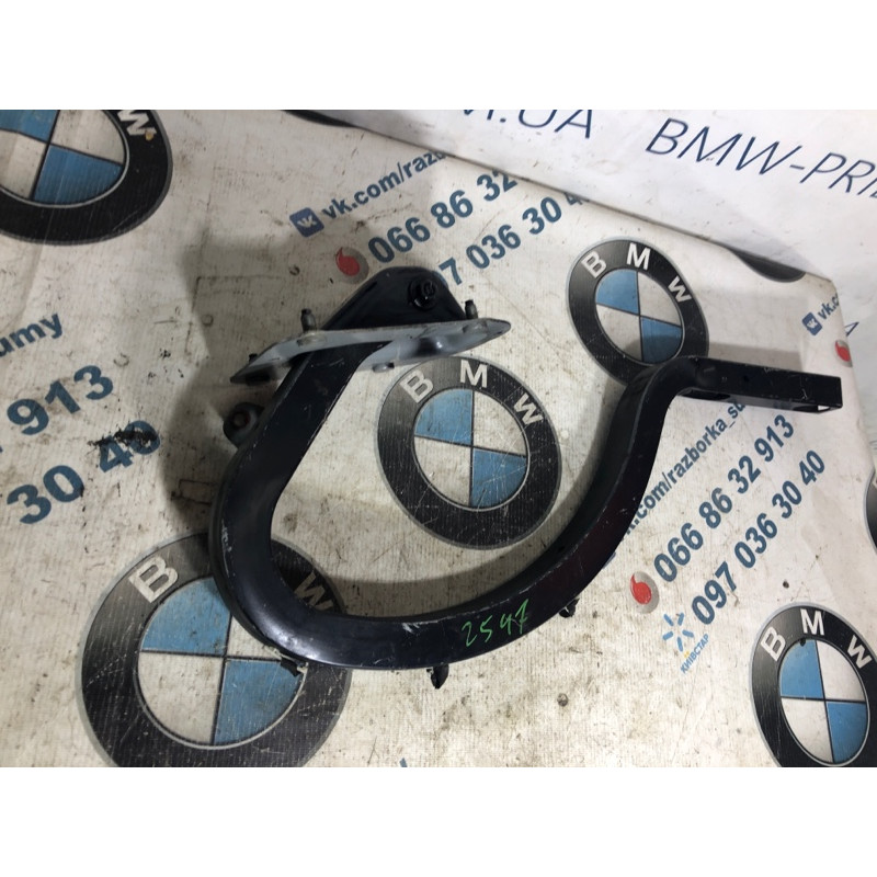 Петля багажника (кузов и элементы) BMW 3-series F30 2013 N26B20 41007420784