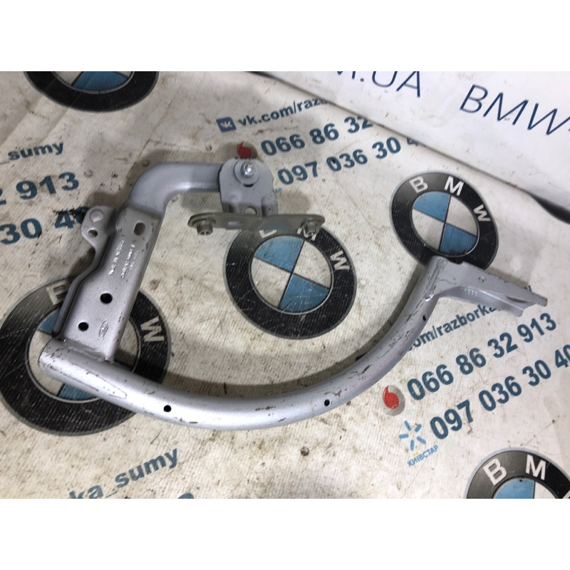 Петля багажника (кузов и элементы) FORD Focus MK3 2015 2.0 CM5Z5442700B