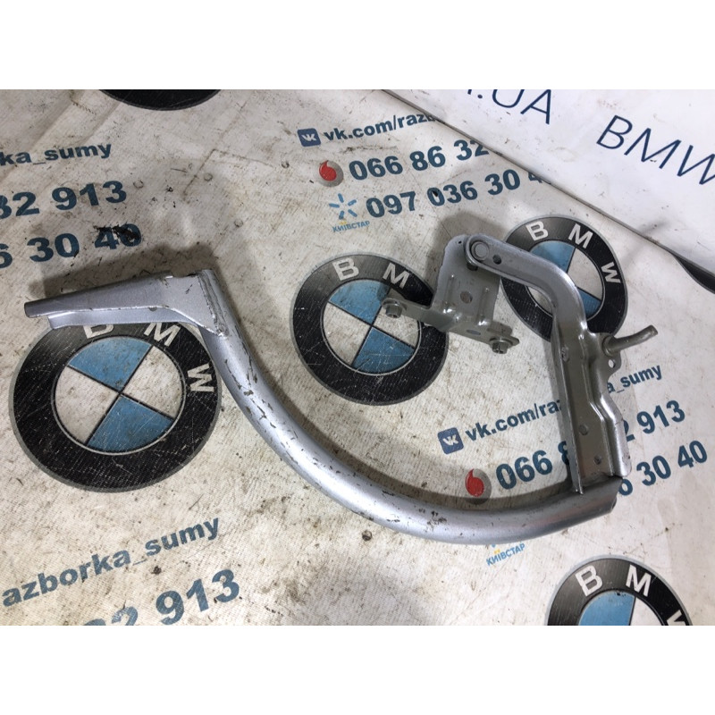 Петля багажника (кузов и элементы) FORD Focus MK3 2015 2.0 CM5Z5442700B