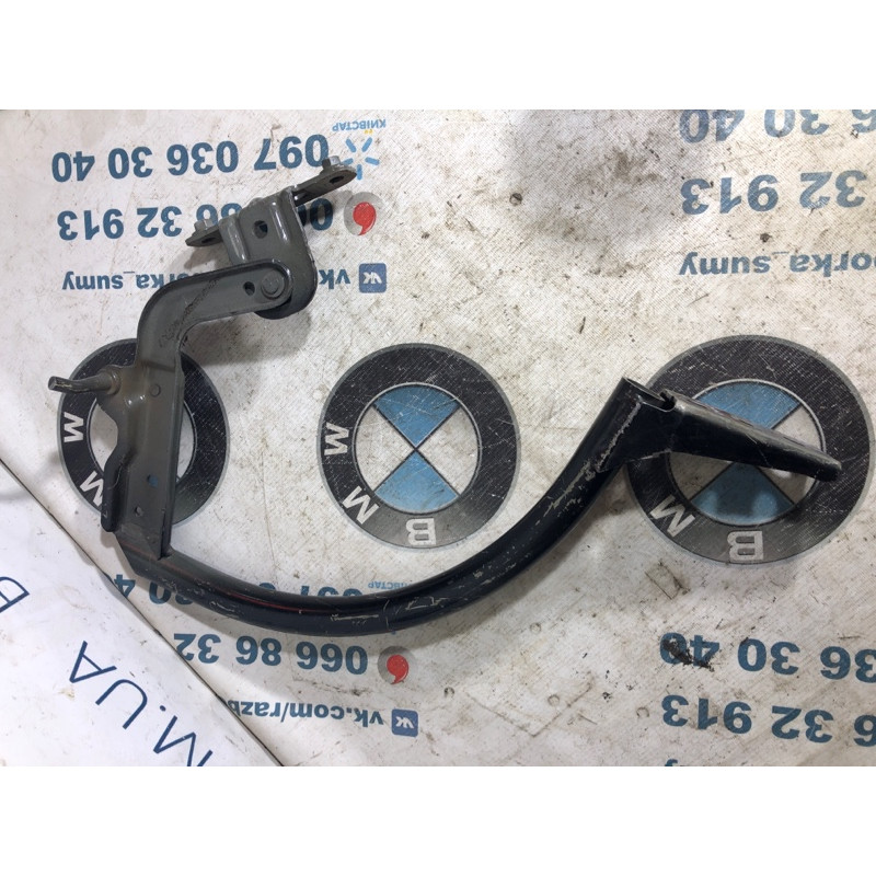 Петля багажника (кузов и элементы) FORD Focus MK3 2014 2.0 CM5Z5442701B