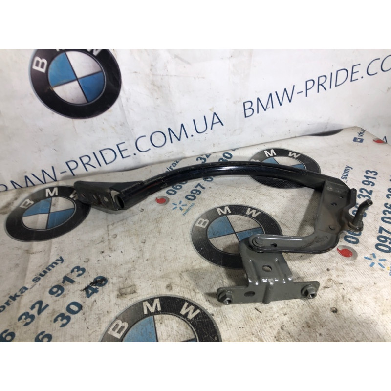 Петля багажника (кузов и элементы) FORD Focus MK3 2014 2.0 CM5Z5442701B