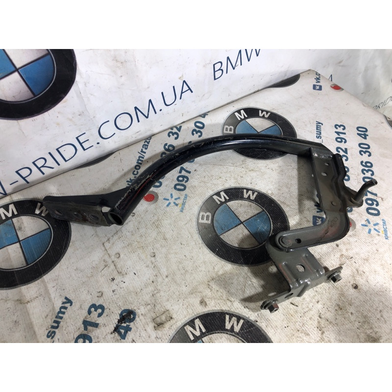 Петля багажника (кузов и элементы) FORD Focus MK3 2014 2.0 CM5Z5442701B