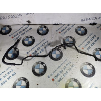 Масляна трубка