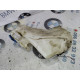 Бачок омывателя (кузов и элементы) Volkswagen Passat B5 2000 2.5 3b0955453t