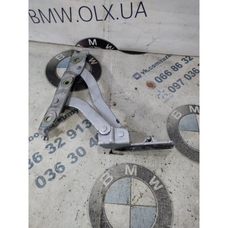 Петля багажника (кузов і елементи) Infiniti M35 Y50