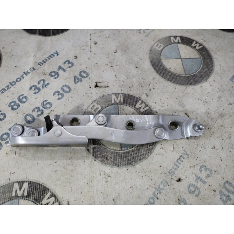 Петля багажника (кузов і елементи) Infiniti M35 Y50