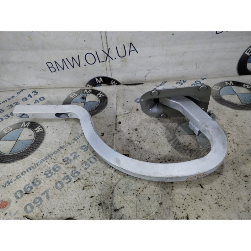 Петля багажника (кузов и элементы) BMW 3-series F30 2013 N20B20 41007420783