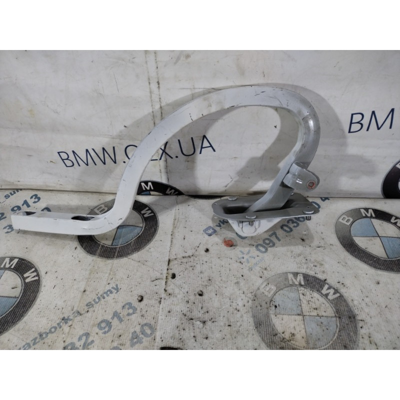 Петля багажника (кузов и элементы) BMW 3-series F30 2013 N20B20 41007420783