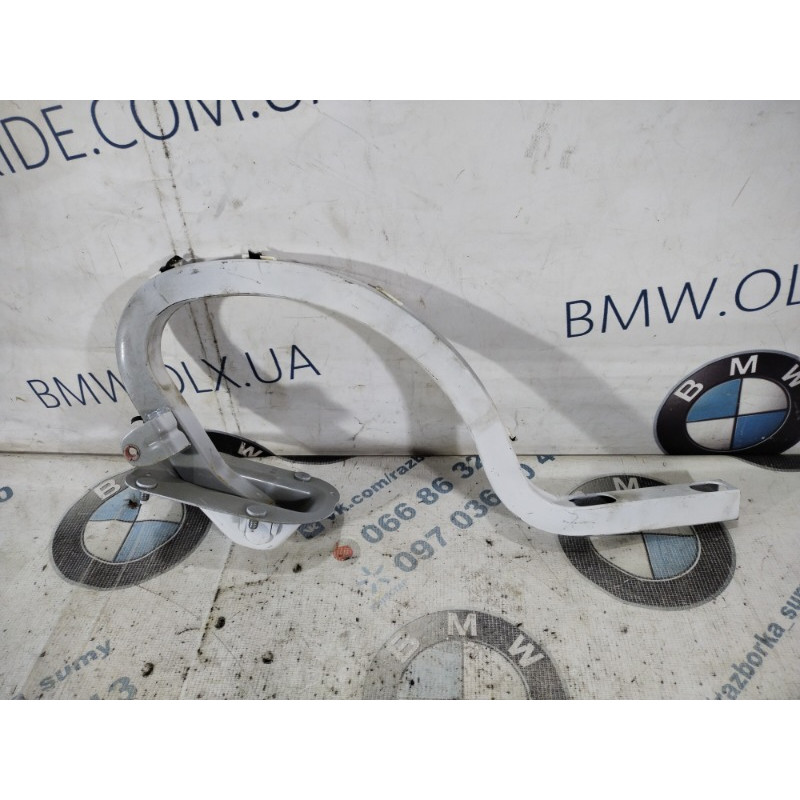 Петля багажника (кузов и элементы) BMW 3-series F30 2013 N20B20 41007420784