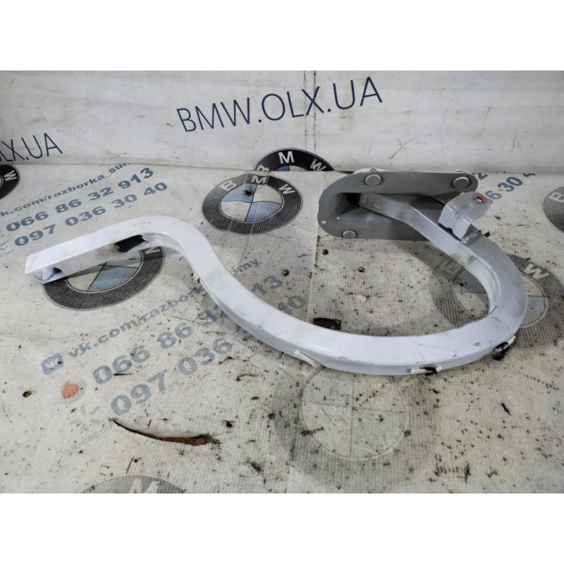 Петля багажника (кузов и элементы) BMW 3-series F30 2013 N20B20 41007420784