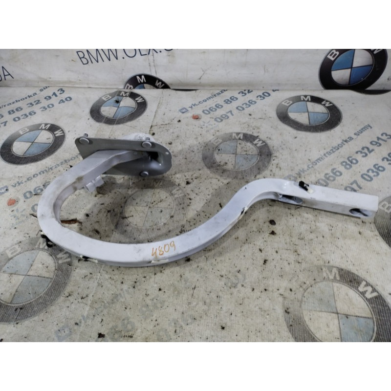 Петля багажника (кузов и элементы) BMW 3-series F30 2013 N20B20 41007420784