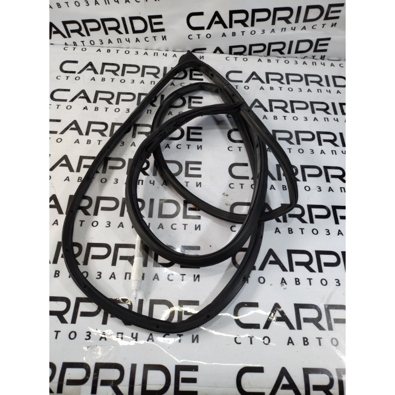 Уплотнитель проема двери (кузов и элементы) Jeep Patriot MK74 2012 2.4 05067767aa