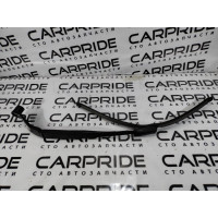 Поводок дворника