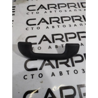 Ручка потолка