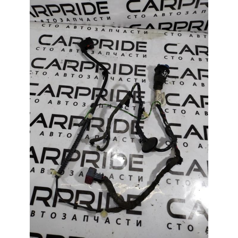 Проводка дверная (электрика) Opel SIGNUM 1 2006 2.2 YH 13139955