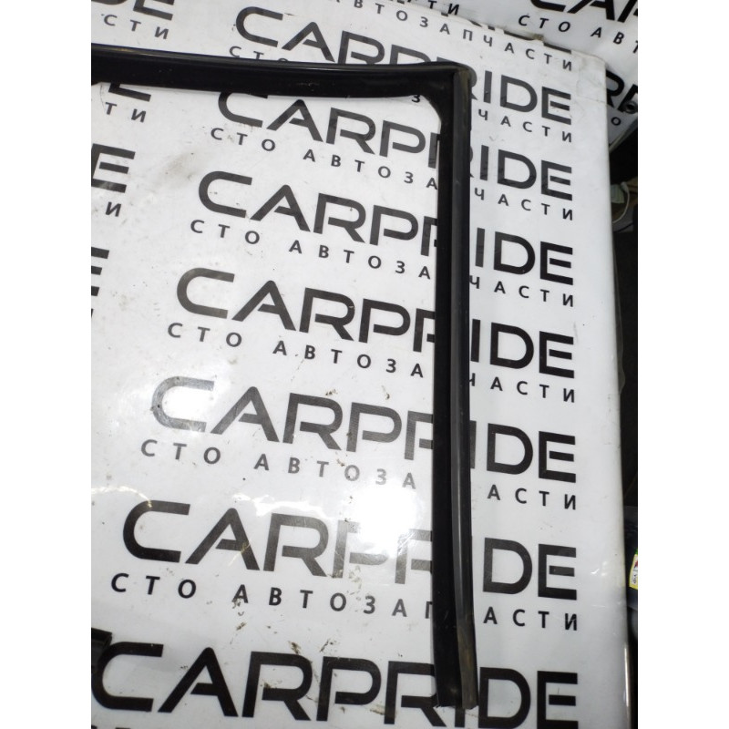 Уплотнитель проема двери (кузов и элементы) BMW X5 E53 M57d30