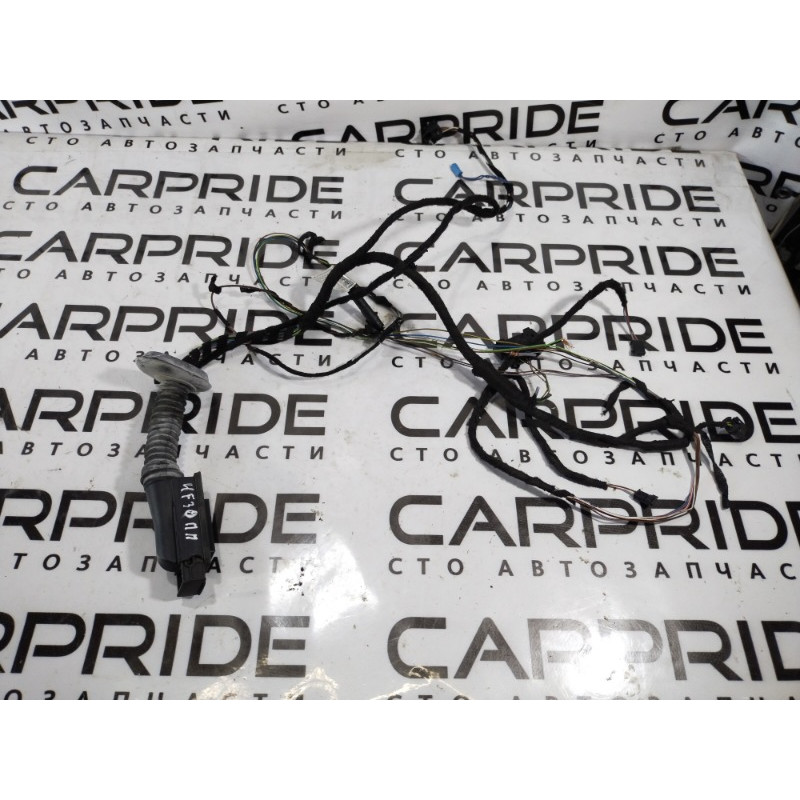 Проводка дверна (електрика) BMW 3-series F30 2013 N20B20 61129300389