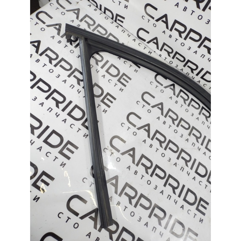 Уплотнитель проема двери (кузов и элементы) BMW 3-series F30 2013 N20B20 51337258326