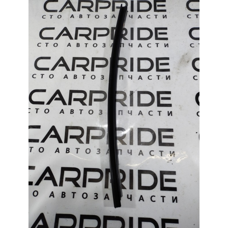 Направляюча скла дверей (кузов і елементи) BMW 3-series F30 2013 N20B20 51357258302