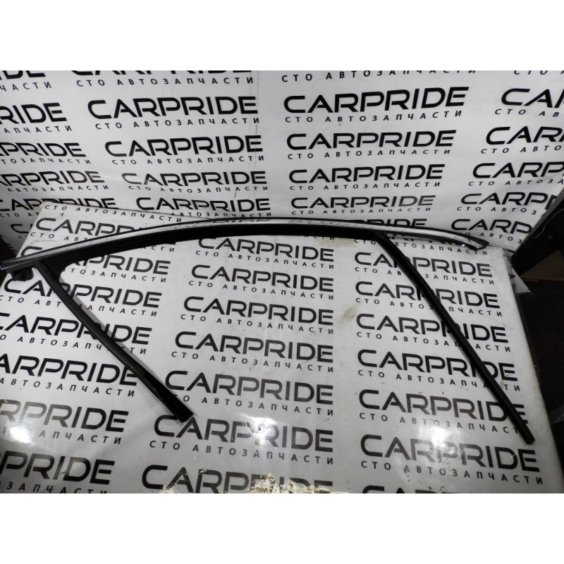 Уплотнитель проема двери (кузов и элементы) Opel Insignia A 2009 2.0 DTH 13228087