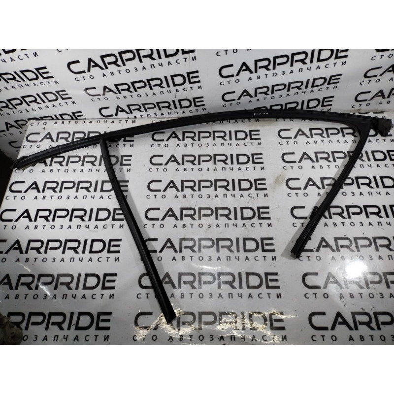 Уплотнитель проема двери (кузов и элементы) Opel Insignia A 2009 2.0 DTH 13228087