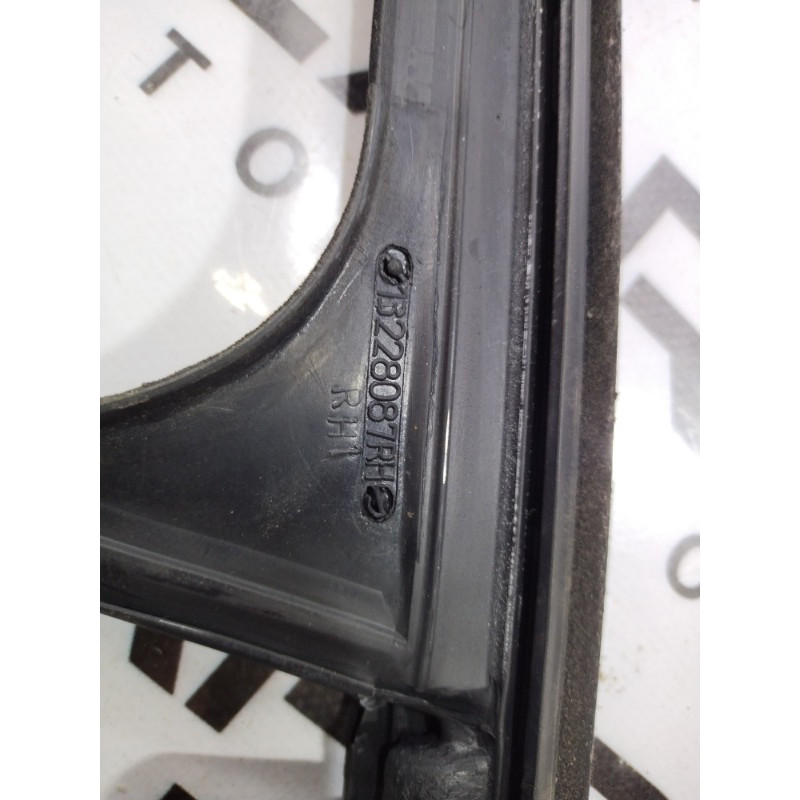 Уплотнитель проема двери (кузов и элементы) Opel Insignia A 2009 2.0 DTH 13228087