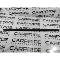 Зовнішній молдинг дверки