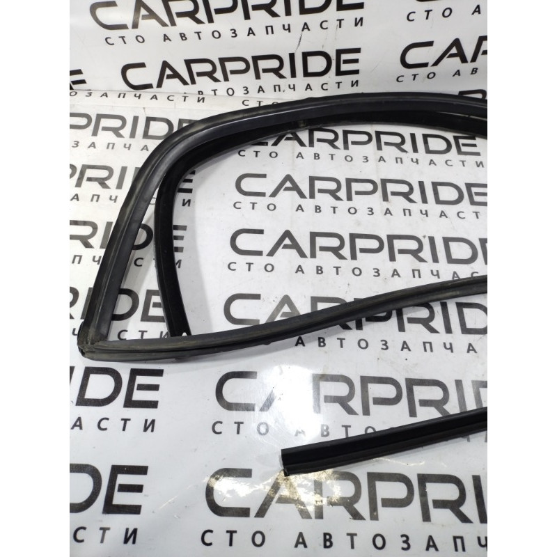 Уплотнитель проема двери (кузов и элементы) Opel SIGNUM 1 2006 2.2 YH 24449542