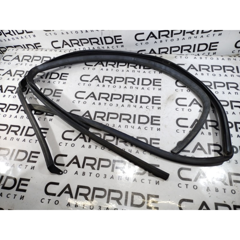 Уплотнитель проема двери (кузов и элементы) Opel SIGNUM 1 2006 2.2 YH 24449542