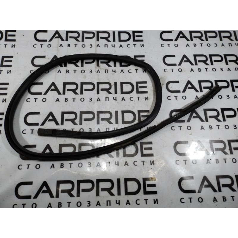 Уплотнитель проема двери (кузов и элементы) Volkswagen Passat B5 2000 2.5