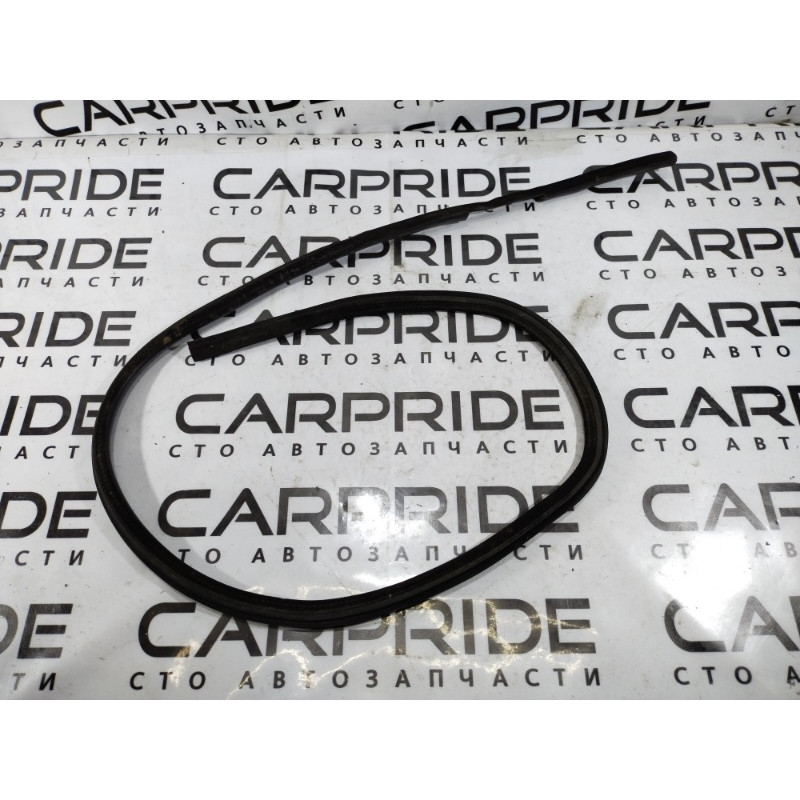 Уплотнитель проема двери (кузов и элементы) Volkswagen Passat B5 2000 2.5