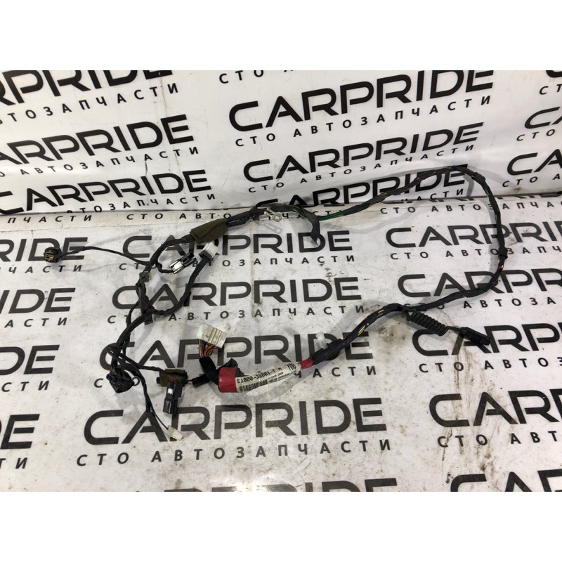 Проводка крышки багажника (электрика) KIA Sorento BL 2005 2.5 CRDI 919003e001