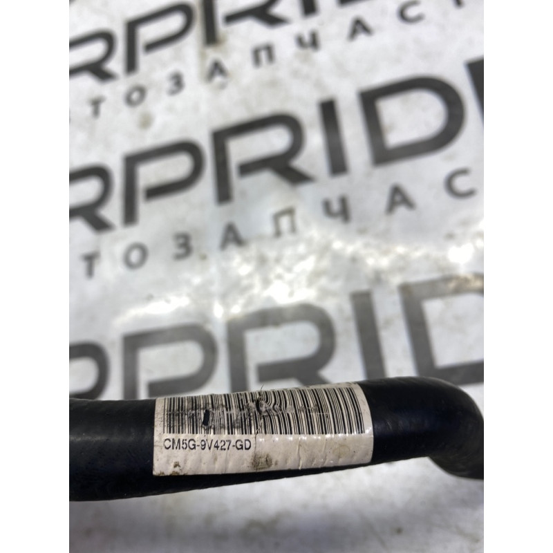 Патрубок (система охлаждения) FORD Focus MK3 2016 1.0 cm5g9v427gd