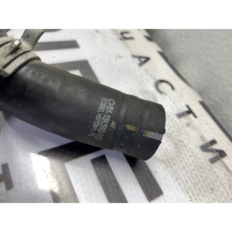 Патрубок (система охлаждения) FORD Focus MK3 2016 1.0 cv6118k580vb