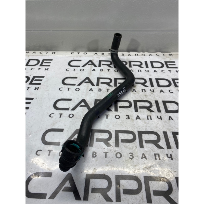 Патрубок (система охлаждения) FORD Focus MK3 2016 1.0 cm5g8b451ga