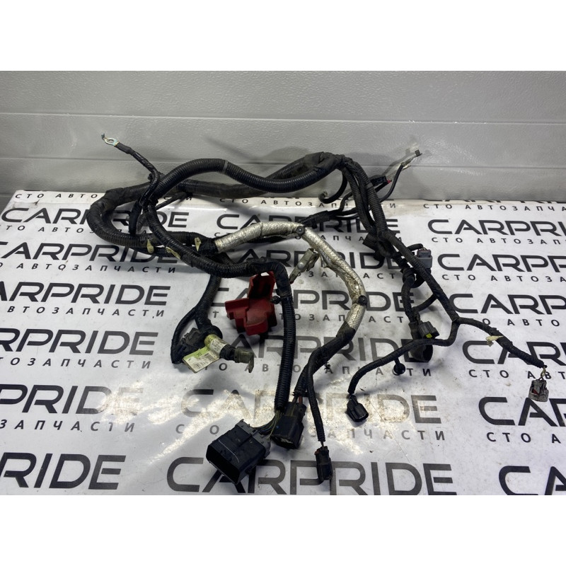 Проводка моторная (электрика двигателя) FORD Fusion MK5 2014 2.5 DG9Z14300D