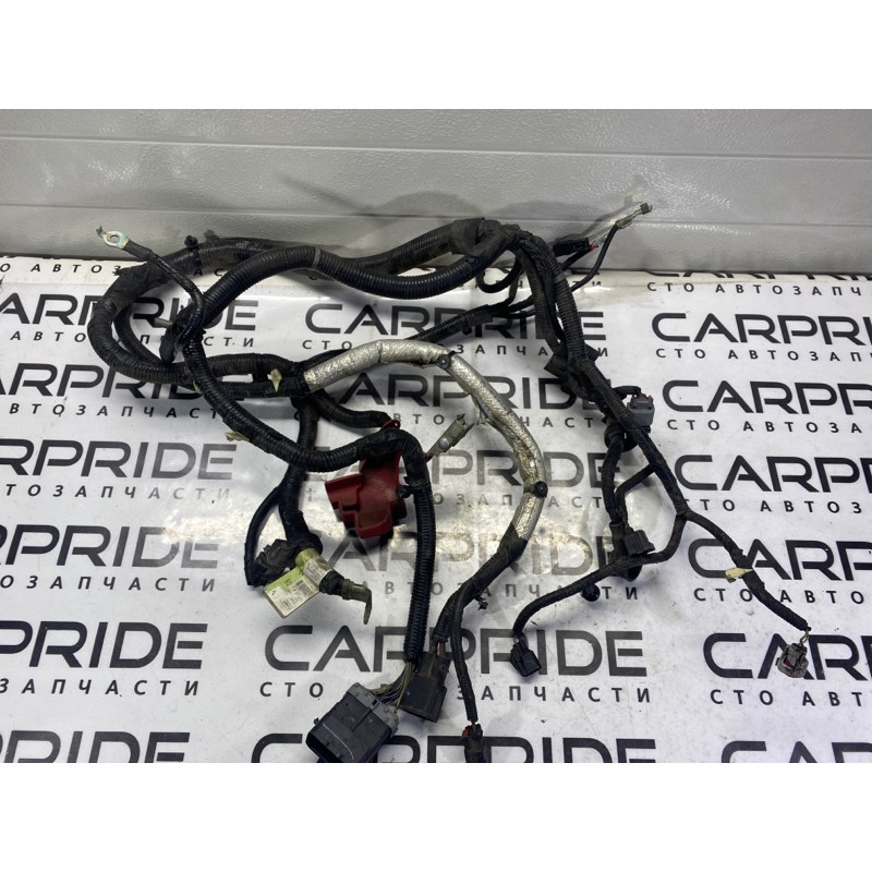 Проводка моторная (электрика двигателя) FORD Fusion MK5 2014 2.5 DG9Z14300D
