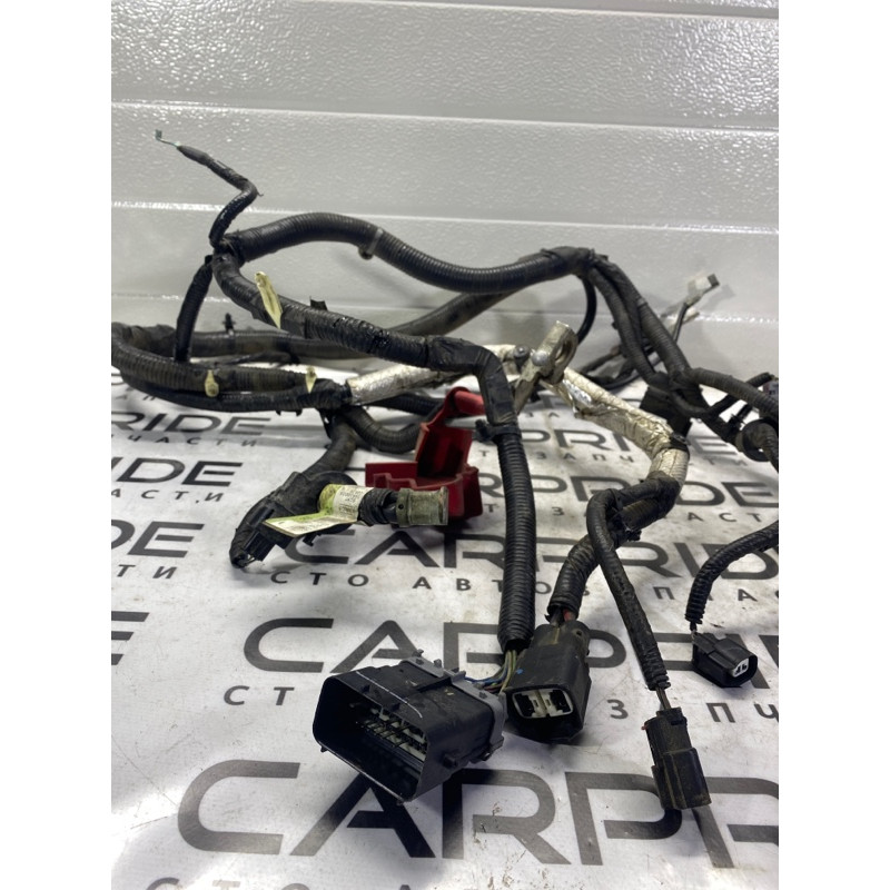 Проводка моторная (электрика двигателя) FORD Fusion MK5 2014 2.5 DG9Z14300D