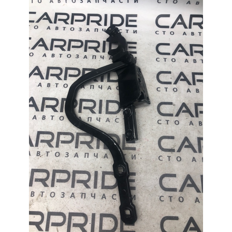 Петля багажника (кузов и элементы) BMW 3-series E93 2010 3.0 N52 1037409