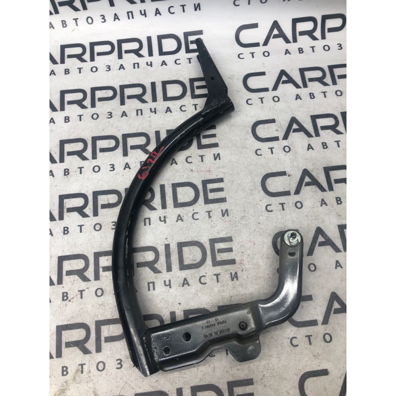 Петля багажника (кузов и элементы) FORD Focus MK3 2012 2.0 CM5Z-5442701-B