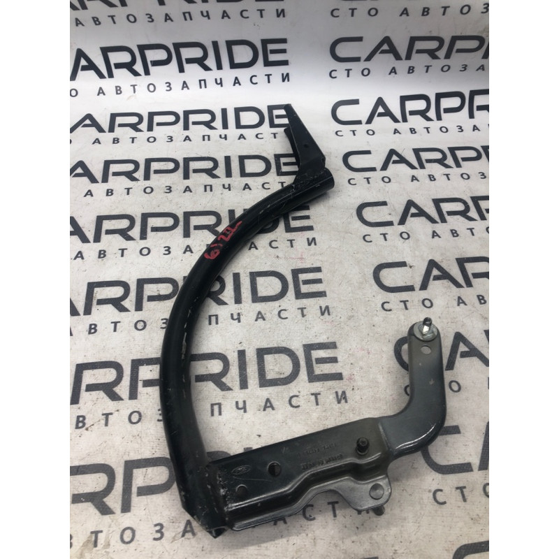 Петля багажника (кузов и элементы) FORD Focus MK3 2012 2.0 CM5Z-5442701-B