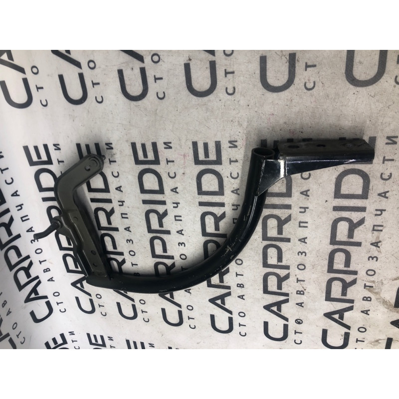 Петля багажника (кузов и элементы) FORD Focus MK3 2012 2.0 CM5Z-5442701-B