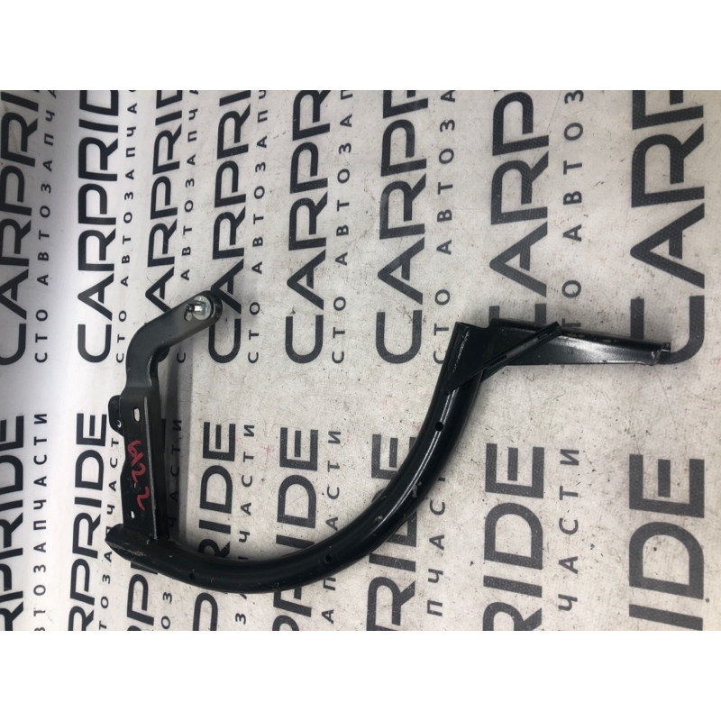 Петля багажника (кузов и элементы) FORD Focus MK3 2012 2.0 CM5Z-5442700-B