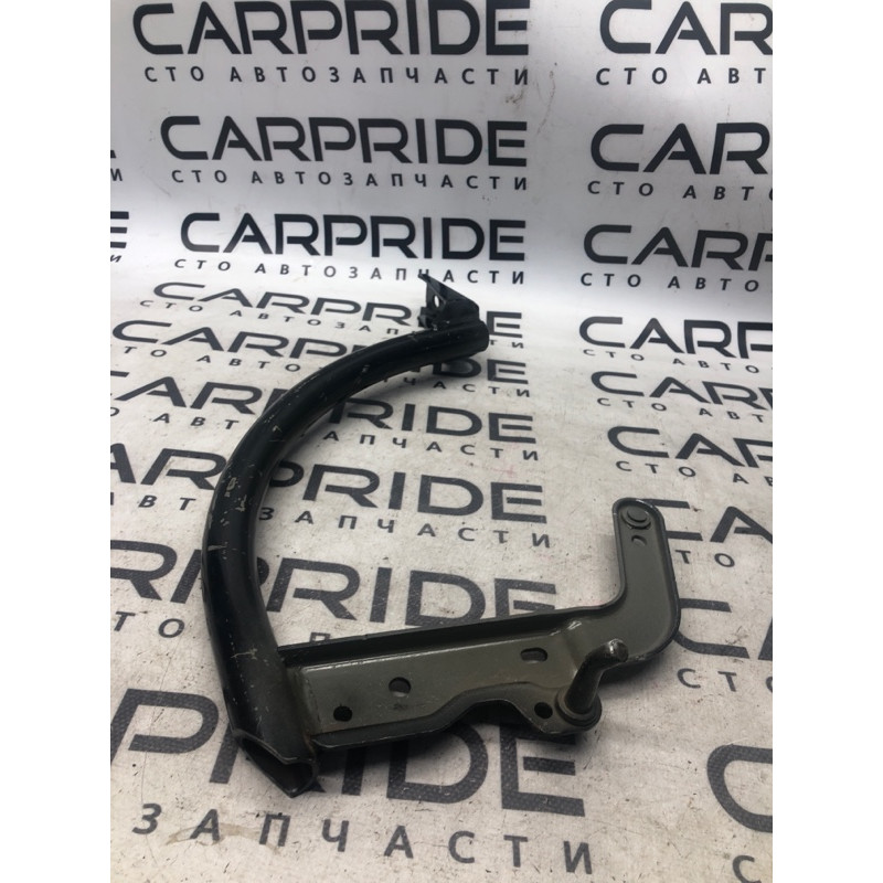 Петля багажника (кузов и элементы) FORD Focus MK3 2012 2.0 CM5Z-5442700-B