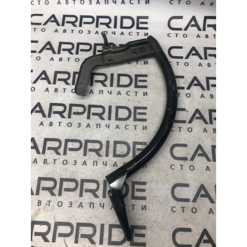Петля багажника (кузов и элементы) FORD Focus MK3 2012 2.0 CM5Z-5442700-B